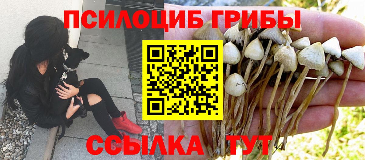 Галлюциногенные грибы прущие грибы  цены   Семилуки  Вход с VPN 